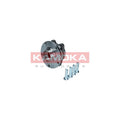 Kit rulment roata KAMOKA 5500175