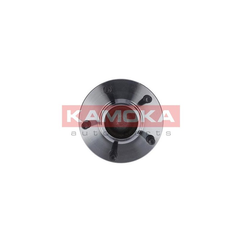 Kit rulment roata KAMOKA 5500098