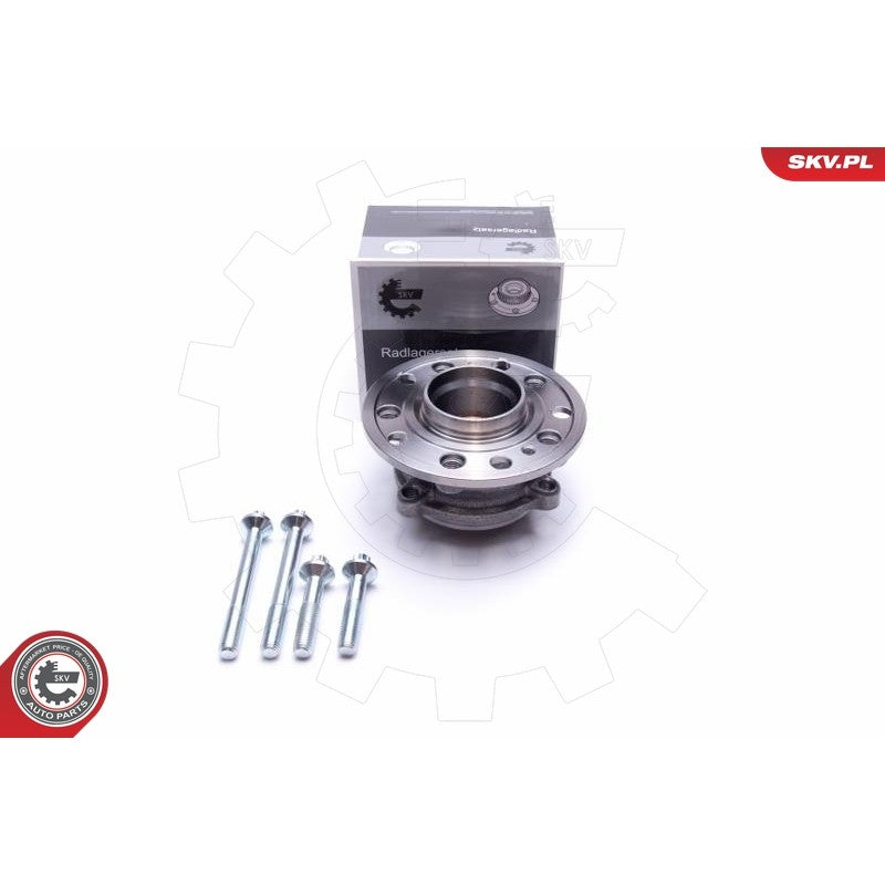 Kit rulment roata ESEN SKV 29SKV506