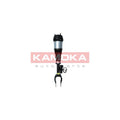 Amortizor pneumatic KAMOKA 2070004