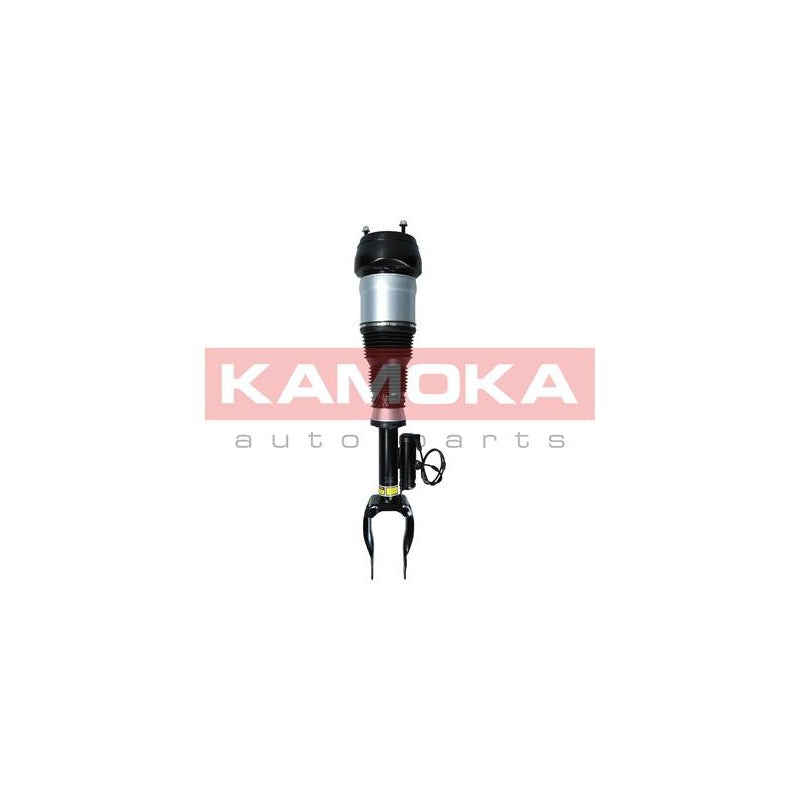 Amortizor pneumatic KAMOKA 2070004