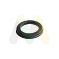 Rulment flansa amortizor MOTAQUIP LVSM1034