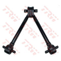 Brat suspensie LEMFORDER 45595 01