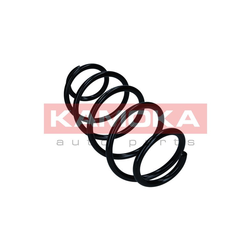 Arc suspensie KAMOKA 2110367