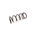 Arc elicoidal MTR 12108683