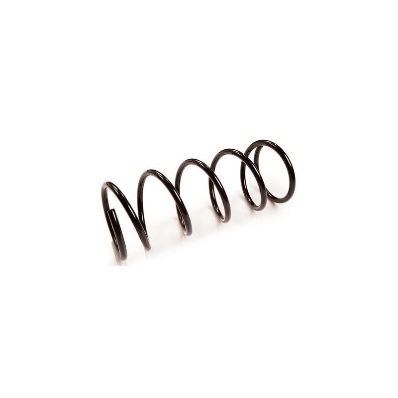 Arc elicoidal MTR 12108683