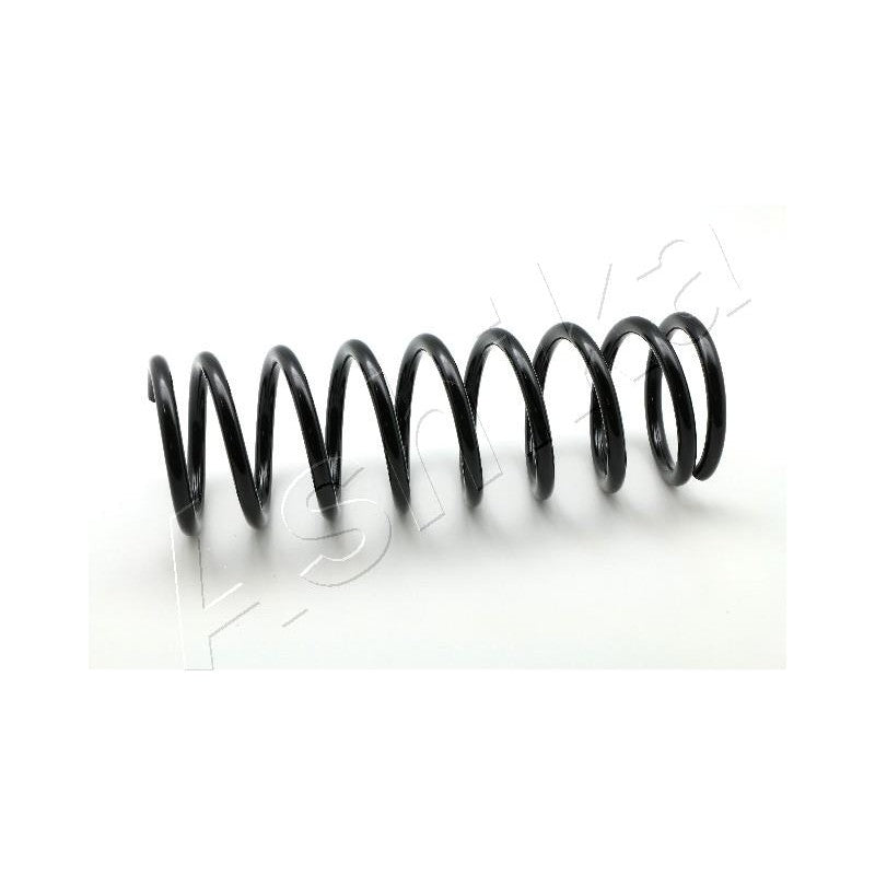 Arc suspensie Ashika ZCA5499C
