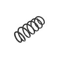 Arc elicoidal MTR 12108732