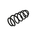 Arc elicoidal MTR 12108729