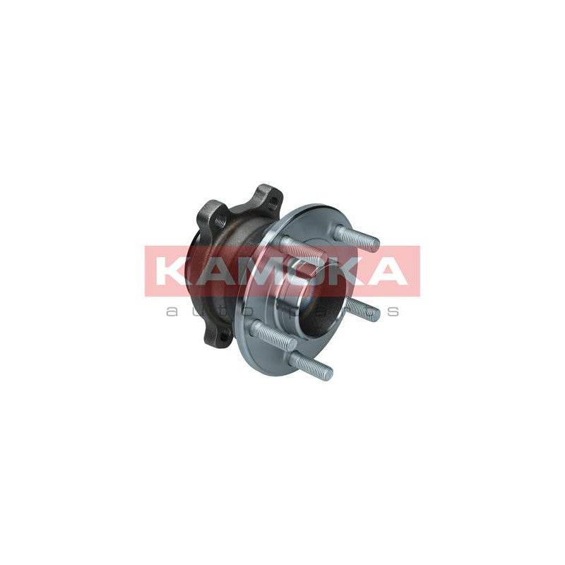 Kit rulment roata KAMOKA 5500248