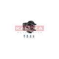 Kit rulment roata KAMOKA 5500085