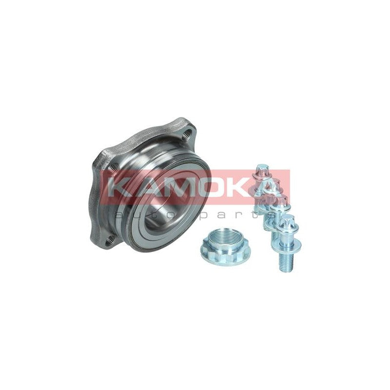 Kit rulment roata KAMOKA 5500184