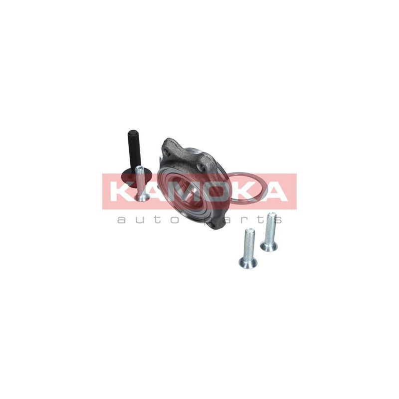 Butuc roata KAMOKA 5500154