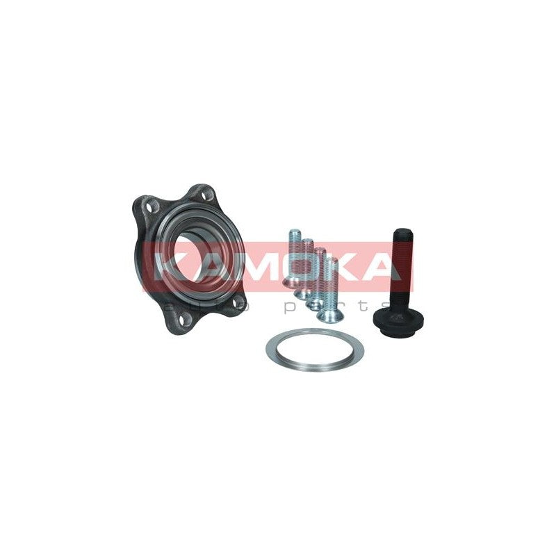 Kit rulment roata KAMOKA 5500176