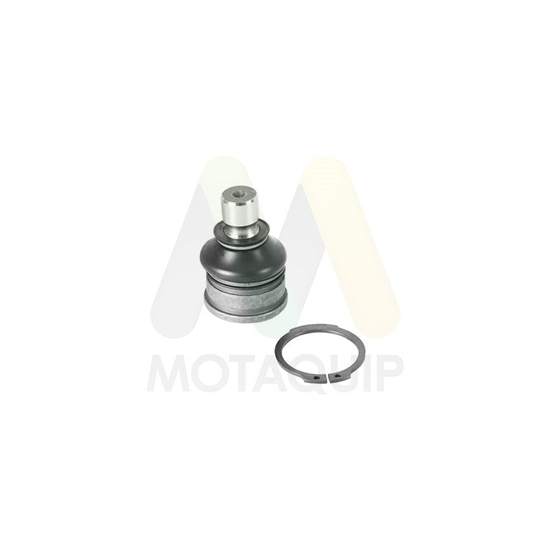 Pivot MOTAQUIP LVSJ1161