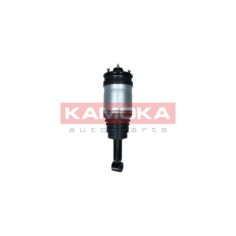Amortizor pneumatic KAMOKA 2070026