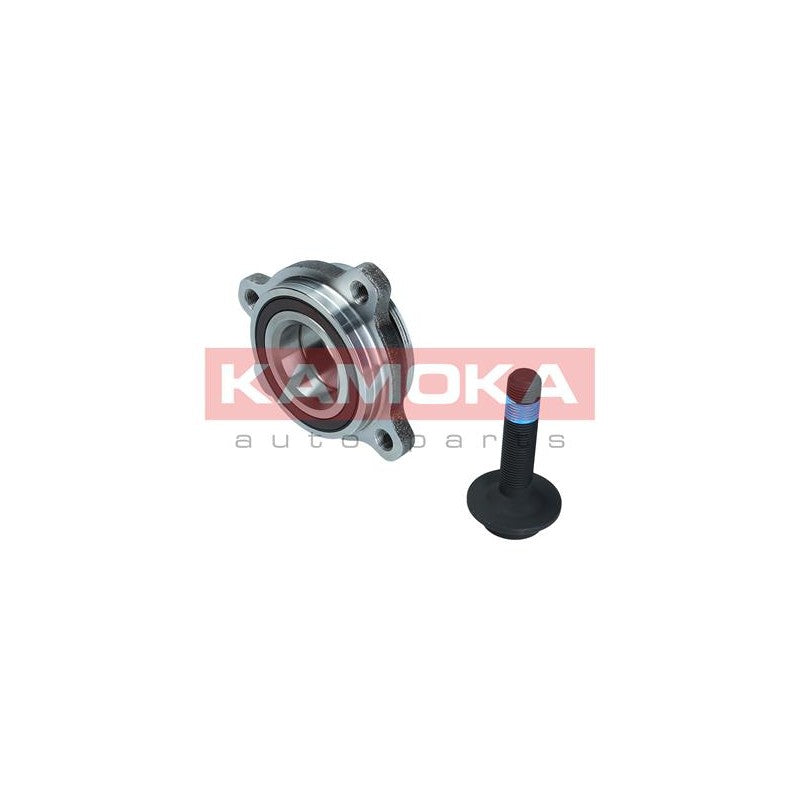 Kit rulment roata KAMOKA 5500173