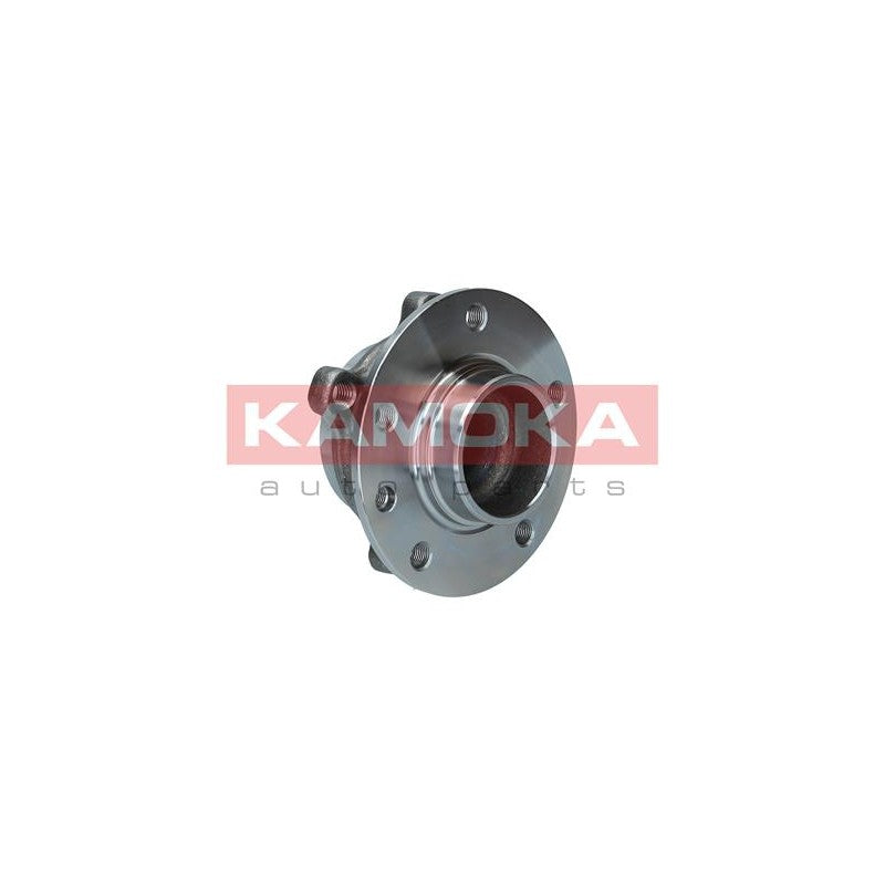 Kit rulment roata KAMOKA 5500226