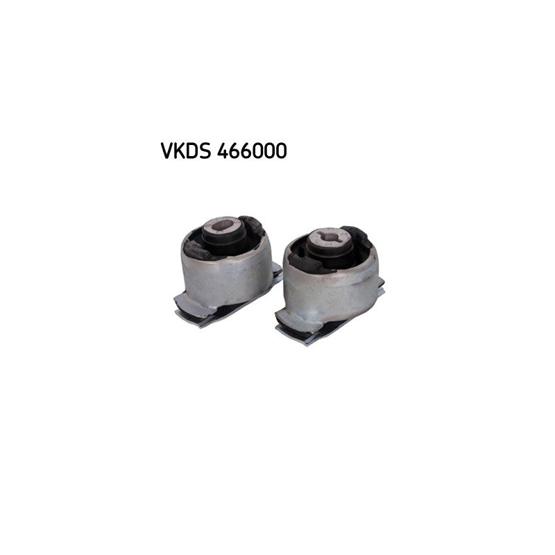 Punte SKF VKDS 466000