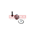 Kit rulment roata KAMOKA 5600007