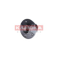 Kit rulment roata KAMOKA 5500136