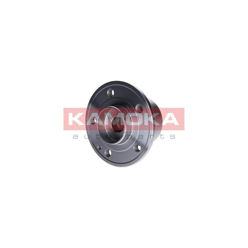 Kit rulment roata KAMOKA 5500136
