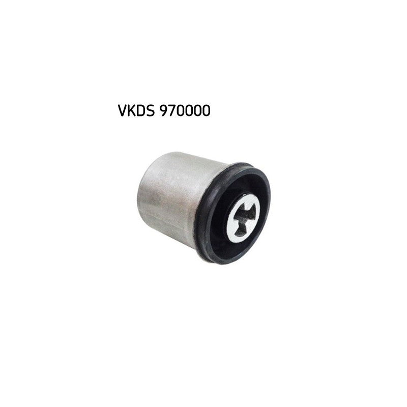 Punte SKF VKDS 970000