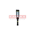 Amortizor pneumatic KAMOKA 2070024