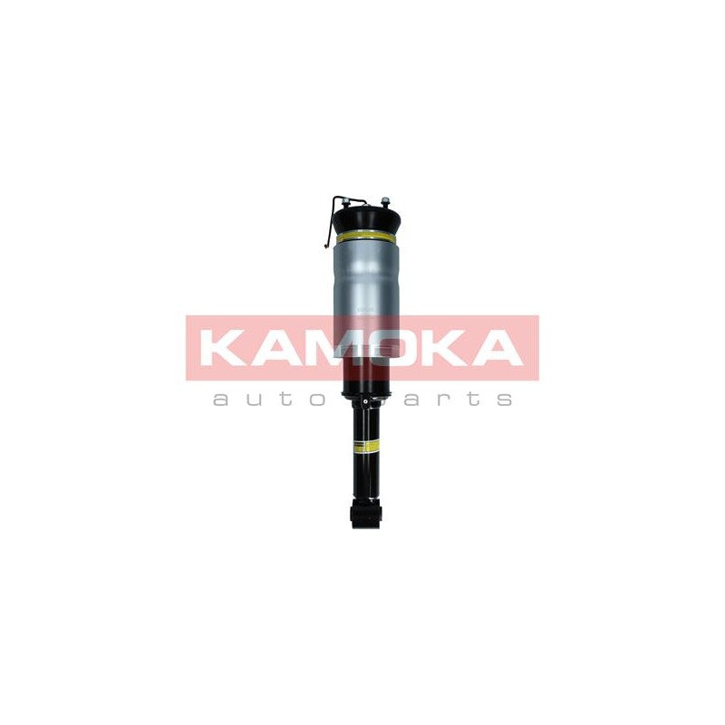 Amortizor pneumatic KAMOKA 2070024