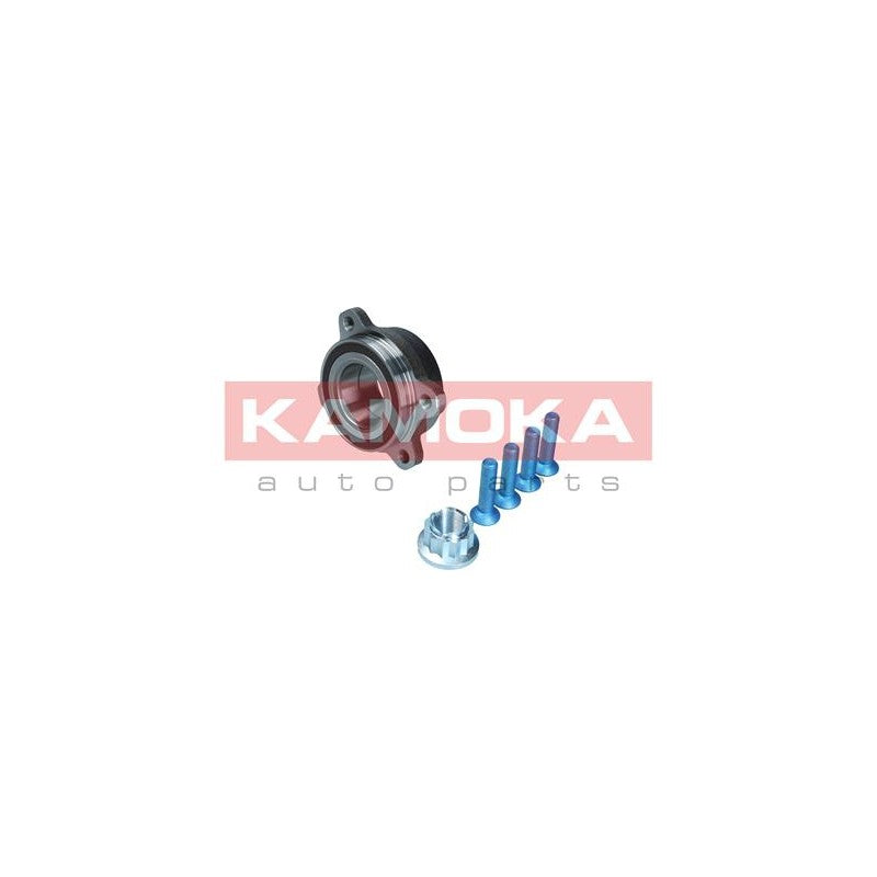 Kit rulment roata KAMOKA 5500383