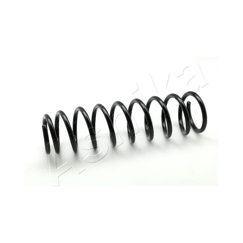 Arc suspensie Ashika ZCA5194A