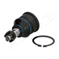 Pivot Ashika 73-04-403