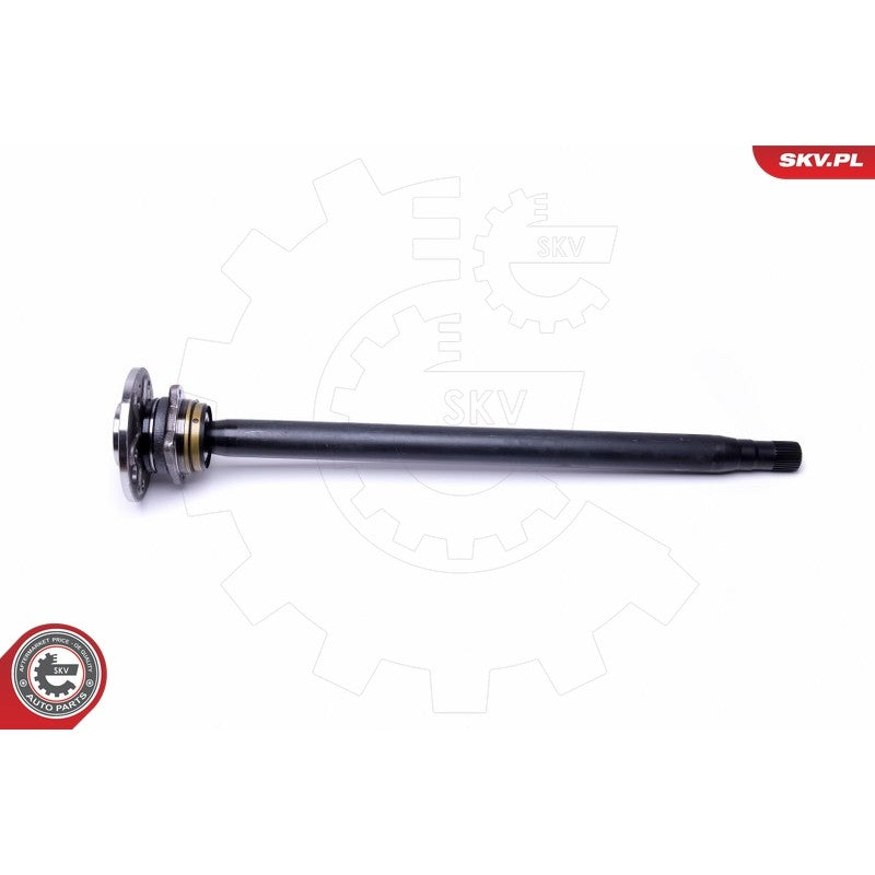 Kit rulment roata ESEN SKV 29SKV998