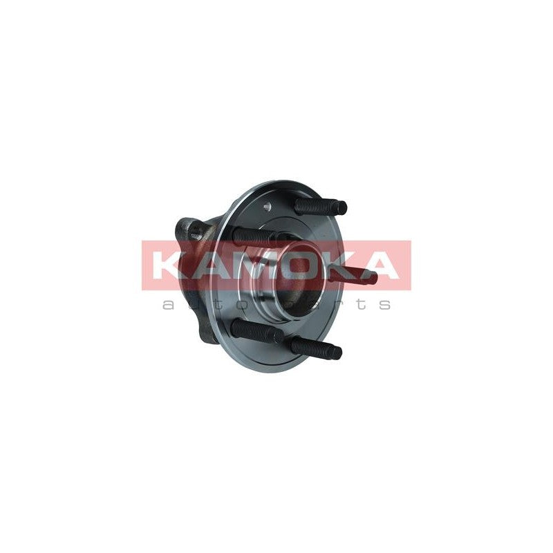 Kit rulment roata KAMOKA 5500193