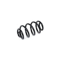 Arc elicoidal MTR 12108693