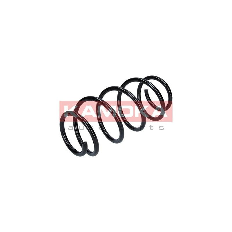 Arc suspensie KAMOKA 2110195
