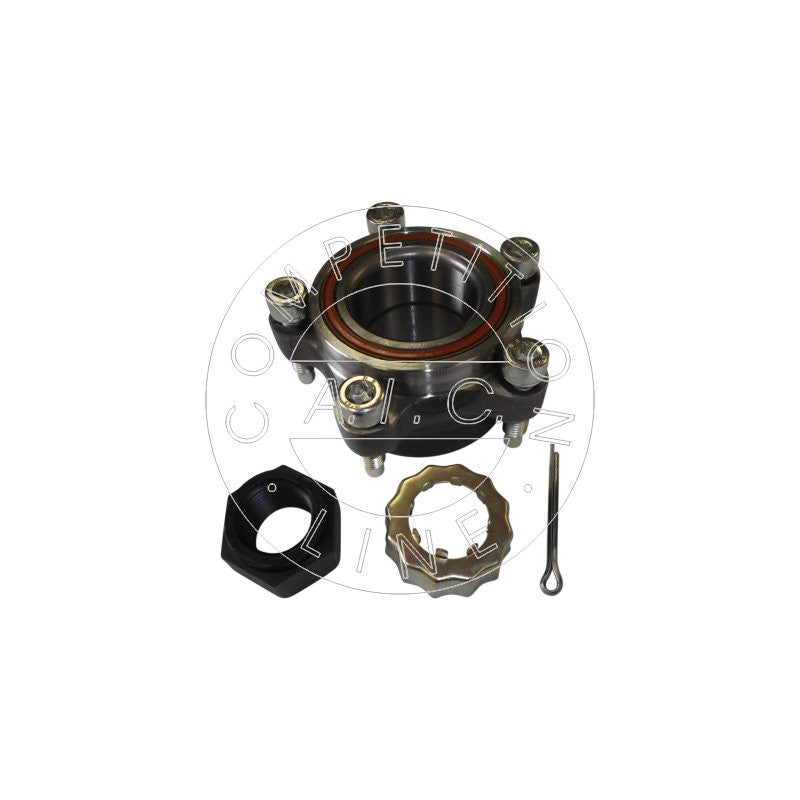 Kit rulment roata AIC 54078