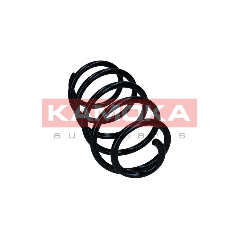 Arc suspensie KAMOKA 2110752