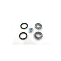 Kit rulment roata MTR 13216379