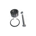Kit rulment roata AIC 55869
