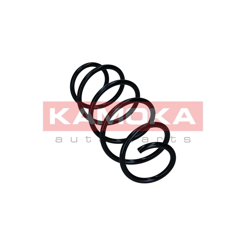 Arc suspensie KAMOKA 2110822