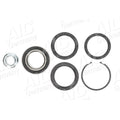 Kit rulment roata AIC 72863
