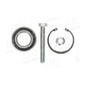 Kit rulment roata AIC 73073