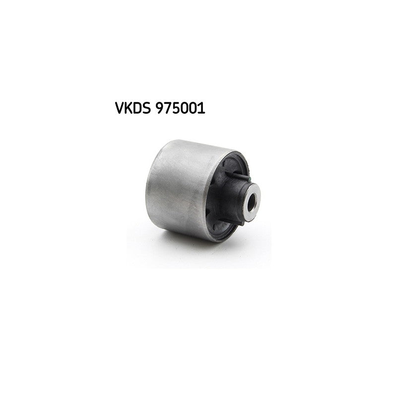 Punte SKF VKDS 975001