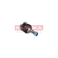 Pivot KAMOKA 9040099
