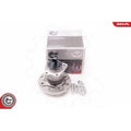 Kit rulment roata ESEN SKV 29SKV113