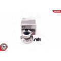 Kit rulment roata ESEN SKV 29SKV009