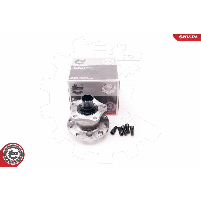 Kit rulment roata ESEN SKV 29SKV009