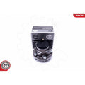 Kit rulment roata ESEN SKV 29SKV381