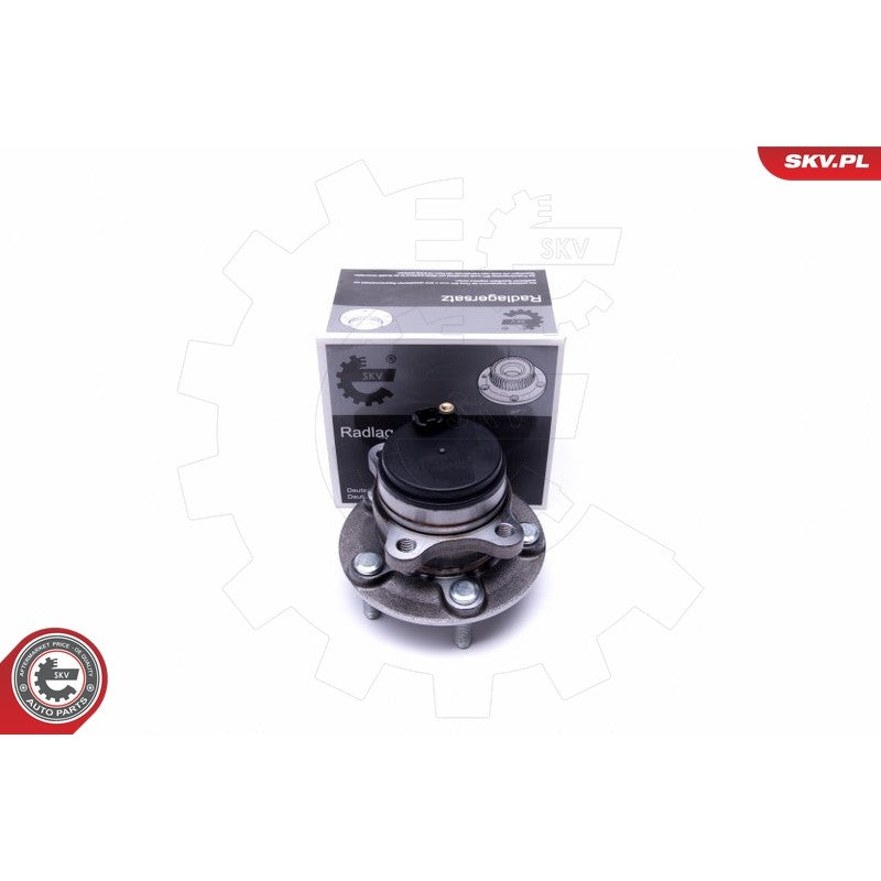 Kit rulment roata ESEN SKV 29SKV381